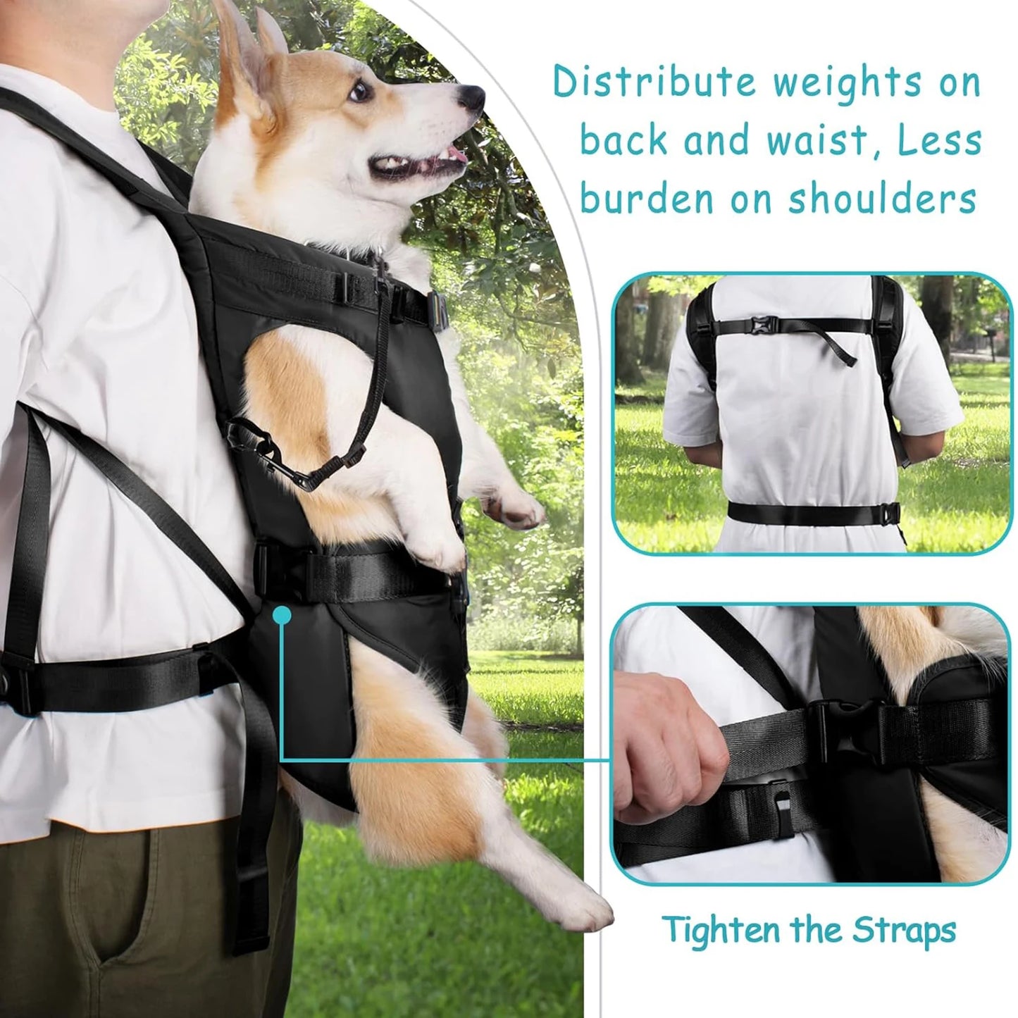 Pet Front Carrier Backpack